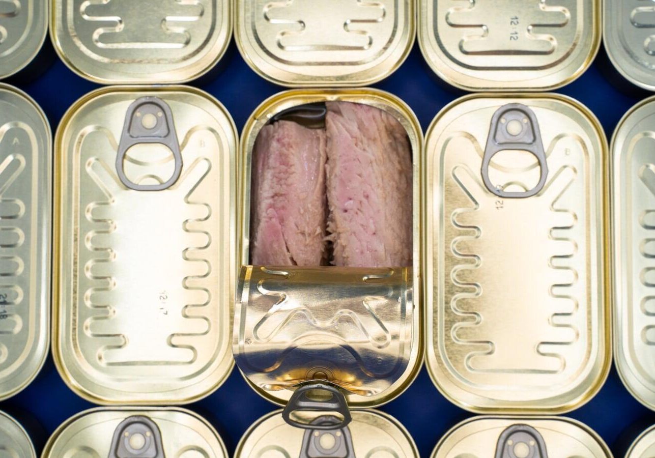 CALATA DE MARI_PS_multiplo_aperto_sfondo blu_zenit_4-5661 copia